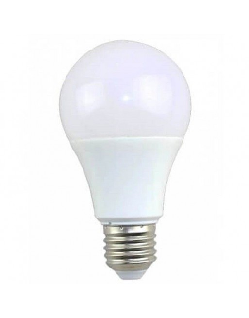 ampoule led E27 14W