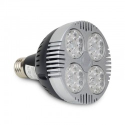 Ampoule LED 35W E27
