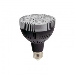 Ampoule LED 35W E27